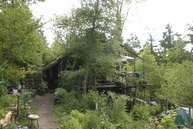 Son and John's structure and garden in May
