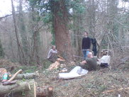 Tree felling by hand - a tree for Chris and Owen's dwelling