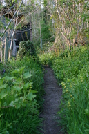Path to the compost loo