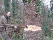 Tree felling by hand - a tree for Chris and Owen's dwelling